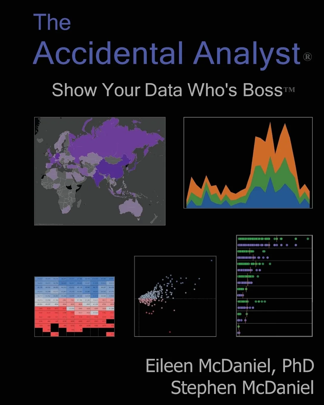 Cover of The Accidental Analyst